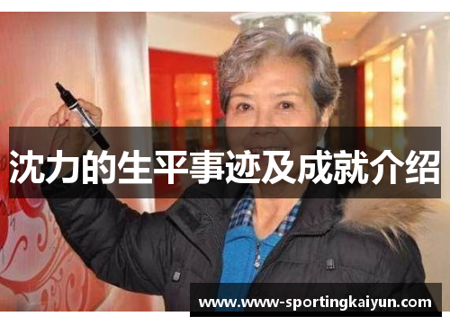沈力的生平事迹及成就介绍